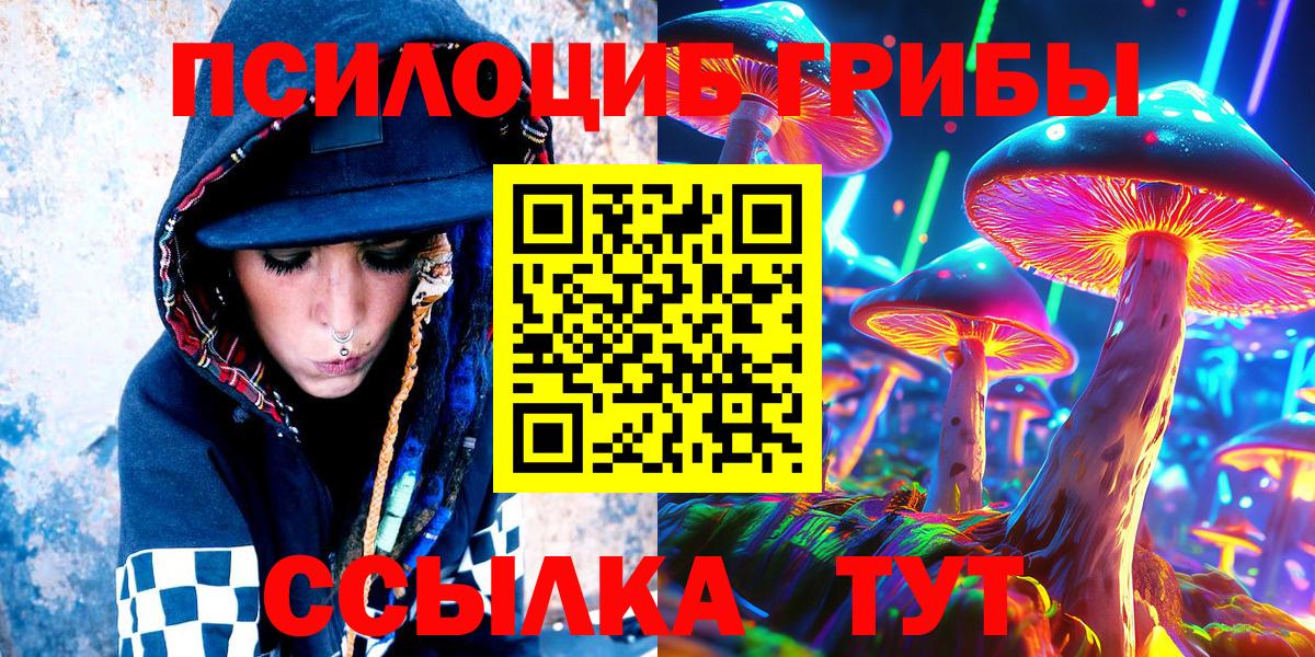 Псилоцибиновые грибы Psilocybine cubensis Строитель