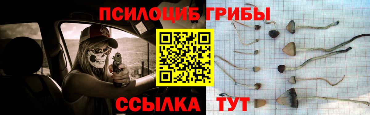 Галлюциногенные грибы мухоморы  Вход с VPN  Галлюциногенные грибы Cubensis  Строитель 
